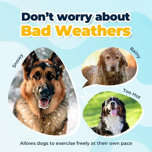 75" Large Dog Treadmill for Dogs, 4 Level Adjustable Ramp Canine Slat Mill for Dog, Easy to Move Doggy Treadmill for Indoor